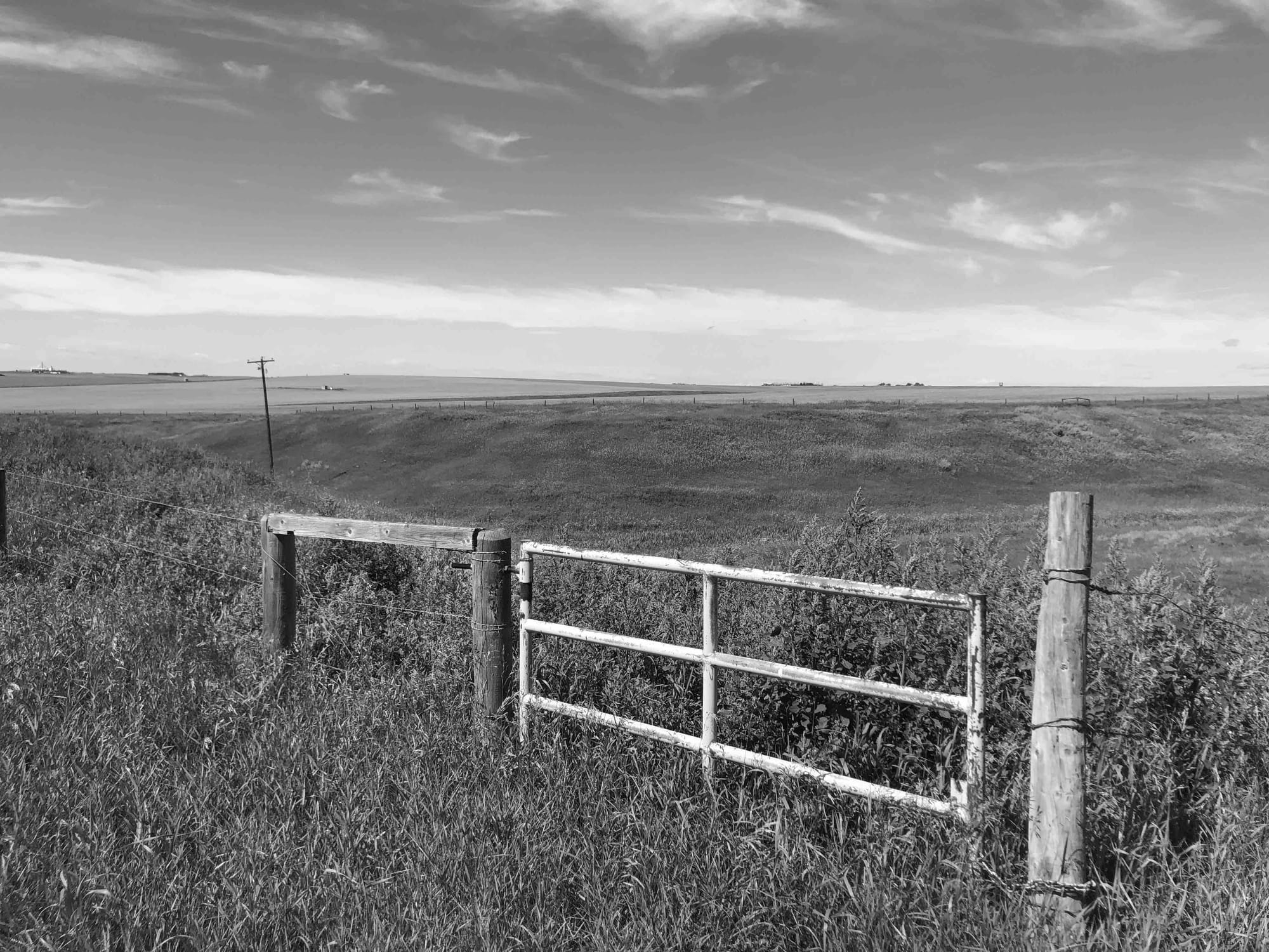 A horse gate somewhere in central Alberta